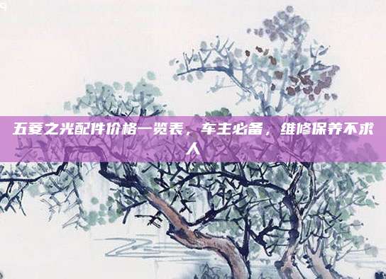五菱之光配件价格一览表，车主必备，维修保养不求人