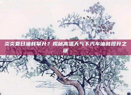 炎炎夏日油耗攀升？揭秘高温天气下汽车油耗提升之谜
