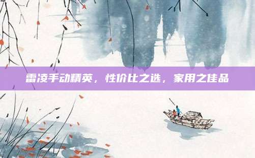 雷凌手动精英，性价比之选，家用之佳品