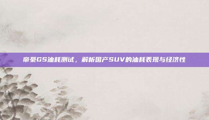 帝豪GS油耗测试，解析国产SUV的油耗表现与经济性