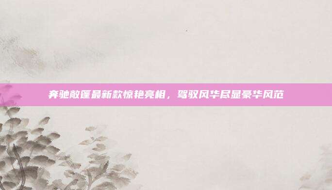 奔驰敞篷最新款惊艳亮相,驾驭风华尽显豪华风范