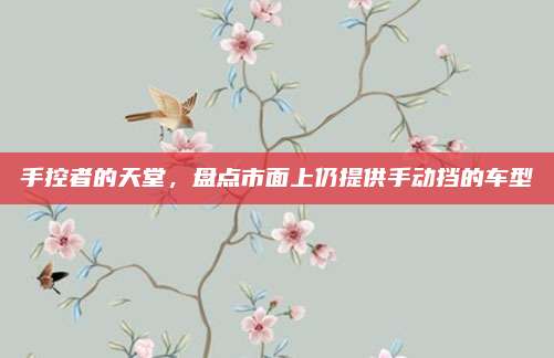 手控者的天堂，盘点市面上仍提供手动挡的车型