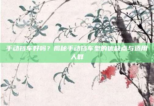 手动挡车好吗？揭秘手动挡车型的优缺点与适用人群