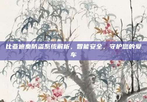 比亚迪秦防盗系统解析，智能安全，守护您的爱车