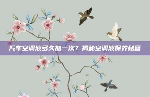 汽车空调液多久加一次？揭秘空调液保养秘籍