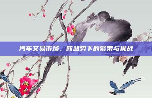 汽车交易市场，新趋势下的繁荣与挑战