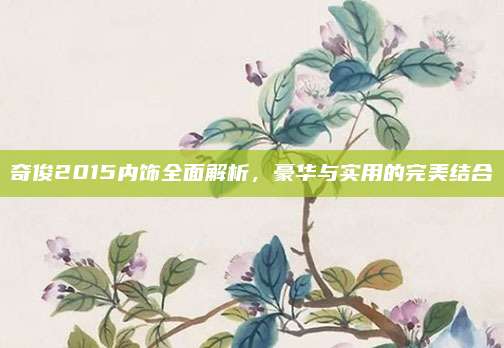 奇俊2015内饰全面解析，豪华与实用的完美结合
