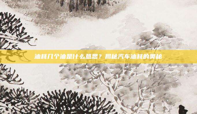 油耗几个油是什么意思？揭秘汽车油耗的奥秘