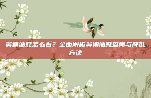 翼博油耗怎么看？全面解析翼博油耗查询与降低方法