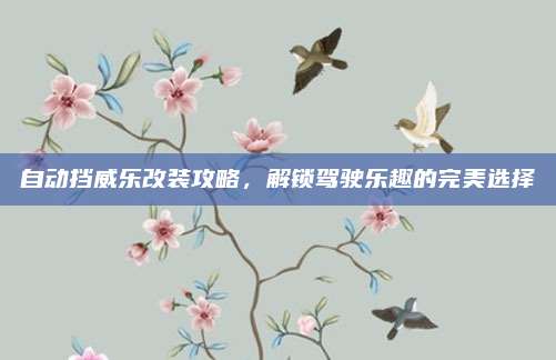 自动挡威乐改装攻略，解锁驾驶乐趣的完美选择