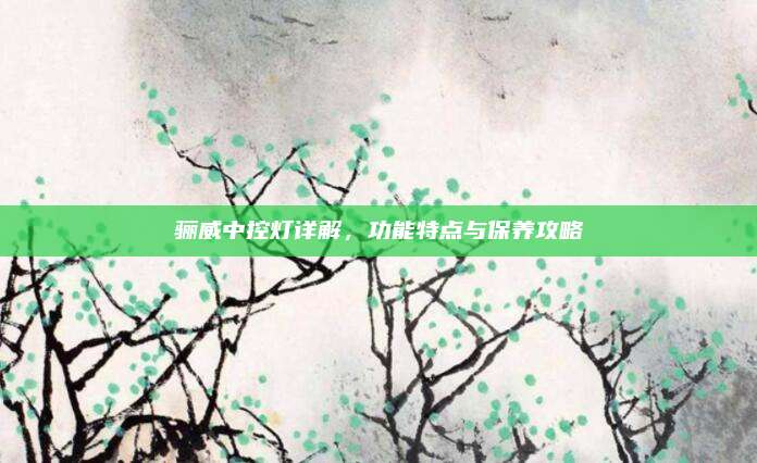 骊威中控灯详解，功能特点与保养攻略