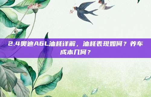 2.4奥迪A6L油耗详解，油耗表现如何？养车成本几何？