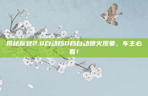 揭秘标致2.0自动挡D档自动熄火现象，车主必看！