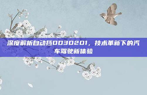 深度解析自动挡DD3D2D1，技术革新下的汽车驾驶新体验