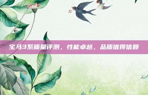 宝马3系质量评测，性能卓越，品质值得信赖