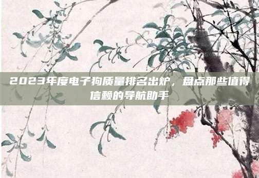 2023年度电子狗质量排名出炉，盘点那些值得信赖的导航助手