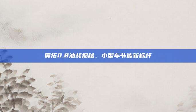 奥拓0.8油耗揭秘，小型车节能新标杆