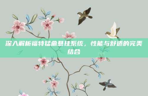 深入解析福特猛禽悬挂系统，性能与舒适的完美结合