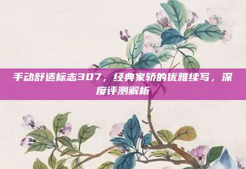 手动舒适标志307，经典家轿的优雅续写，深度评测解析
