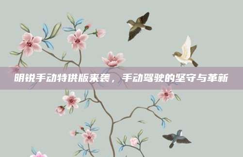 明锐手动特供版来袭，手动驾驶的坚守与革新
