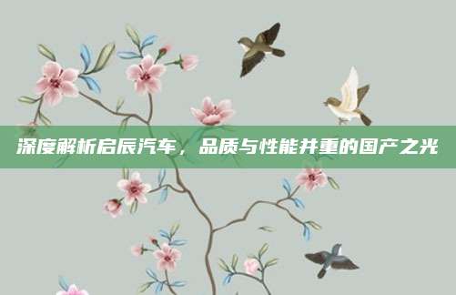 深度解析启辰汽车，品质与性能并重的国产之光