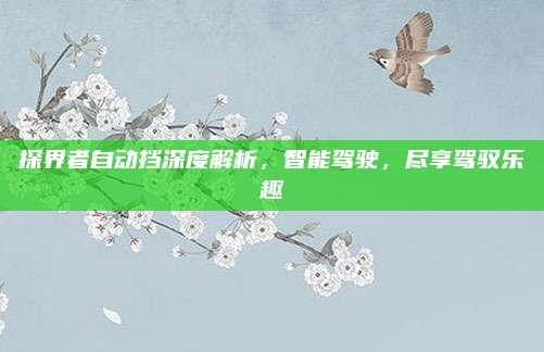 探界者自动挡深度解析，智能驾驶，尽享驾驭乐趣