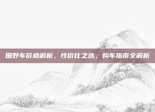田野车价格解析，性价比之选，购车指南全解析