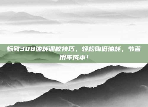 标致308油耗调校技巧，轻松降低油耗，节省用车成本！