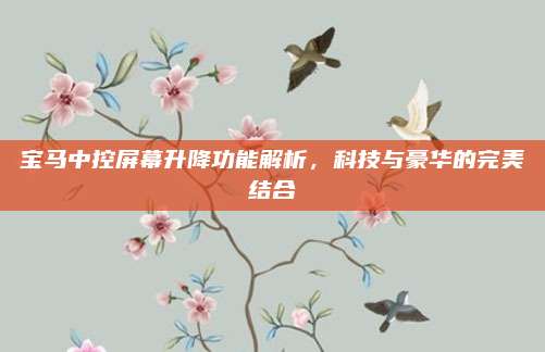宝马中控屏幕升降功能解析,科技与豪华的完美结合