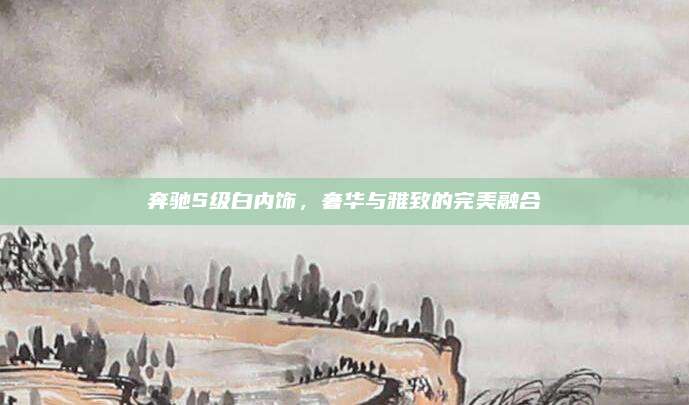 奔驰S级白内饰，奢华与雅致的完美融合