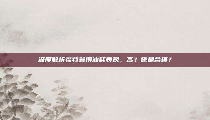 深度解析福特翼搏油耗表现，高？还是合理？