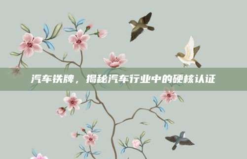 汽车铁牌，揭秘汽车行业中的硬核认证