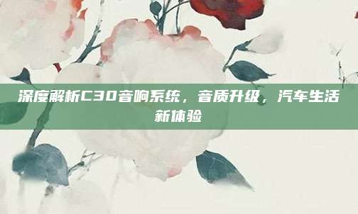 深度解析C30音响系统，音质升级，汽车生活新体验