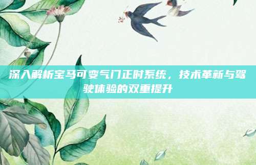 深入解析宝马可变气门正时系统,技术革新与驾驶体验的双重提升