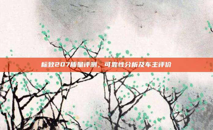 标致207质量评测，可靠性分析及车主评价