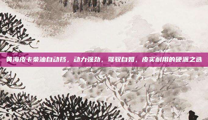 黄海皮卡柴油自动挡，动力强劲，驾驭自如，皮实耐用的硬派之选