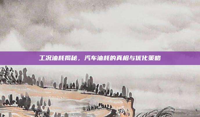 工况油耗揭秘，汽车油耗的真相与优化策略