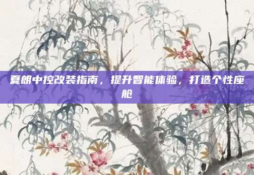 夏朗中控改装指南,提升智能体验,打造个性座舱