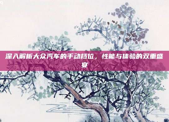 深入解析大众汽车的手动档位,性能与体验的双重盛宴