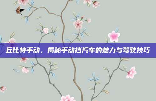 丘比特手动，揭秘手动挡汽车的魅力与驾驶技巧