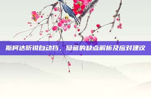 斯柯达昕锐自动挡,隐藏的缺点解析及应对建议