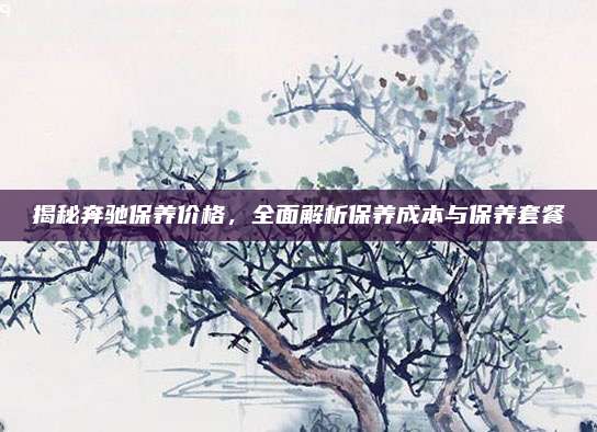揭秘奔驰保养价格，全面解析保养成本与保养套餐