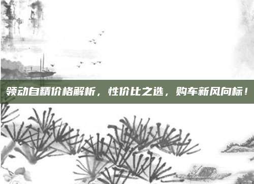 领动自精价格解析，性价比之选，购车新风向标！