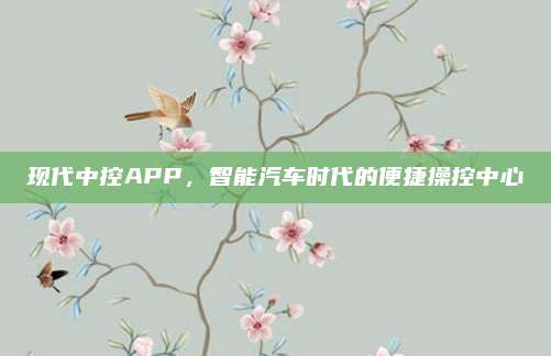 现代中控APP，智能汽车时代的便捷操控中心