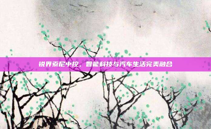 锐界索尼中控，智能科技与汽车生活完美融合
