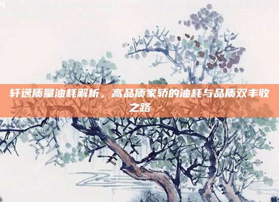 轩逸质量油耗解析，高品质家轿的油耗与品质双丰收之路