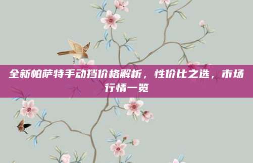 全新帕萨特手动挡价格解析，性价比之选，市场行情一览