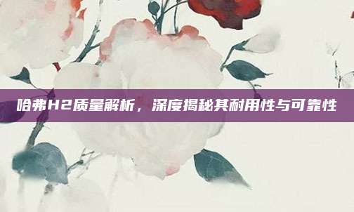 哈弗H2质量解析，深度揭秘其耐用性与可靠性
