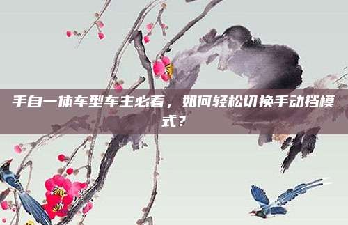 手自一体车型车主必看，如何轻松切换手动挡模式？