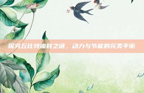 探究丘比特油耗之谜，动力与节能的完美平衡